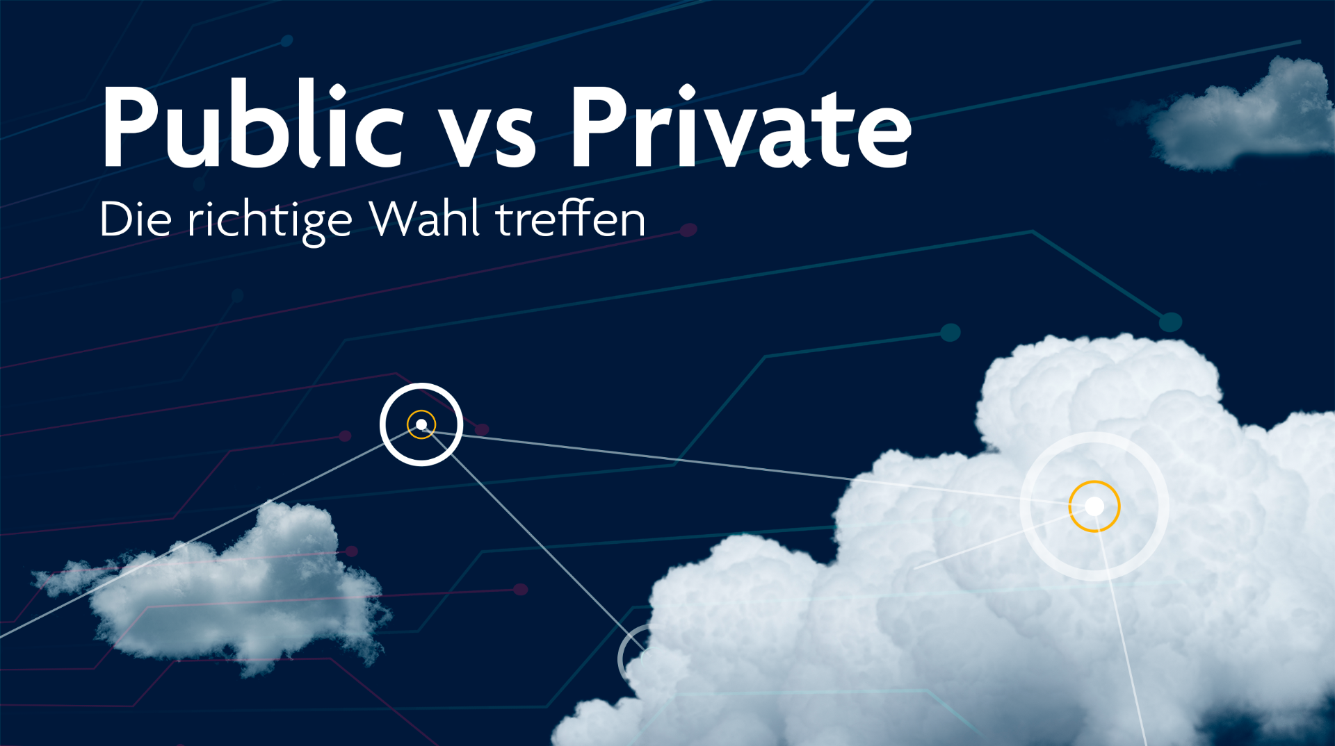 SAP Cloud: Public vs. Private - Die richtige Wahl treffen